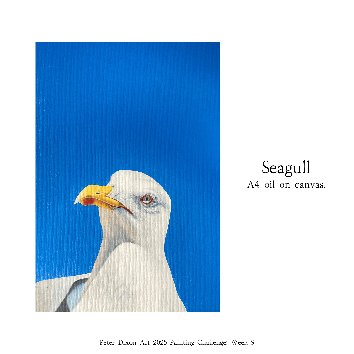 Seagull - Original Painting