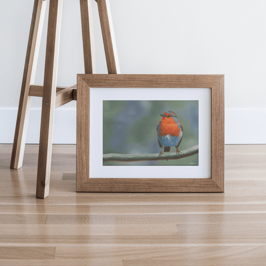 Redbreast - A5 Art Print