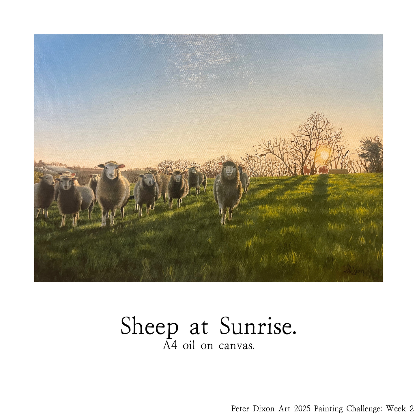 Sheep at Sunrise - Original Painting