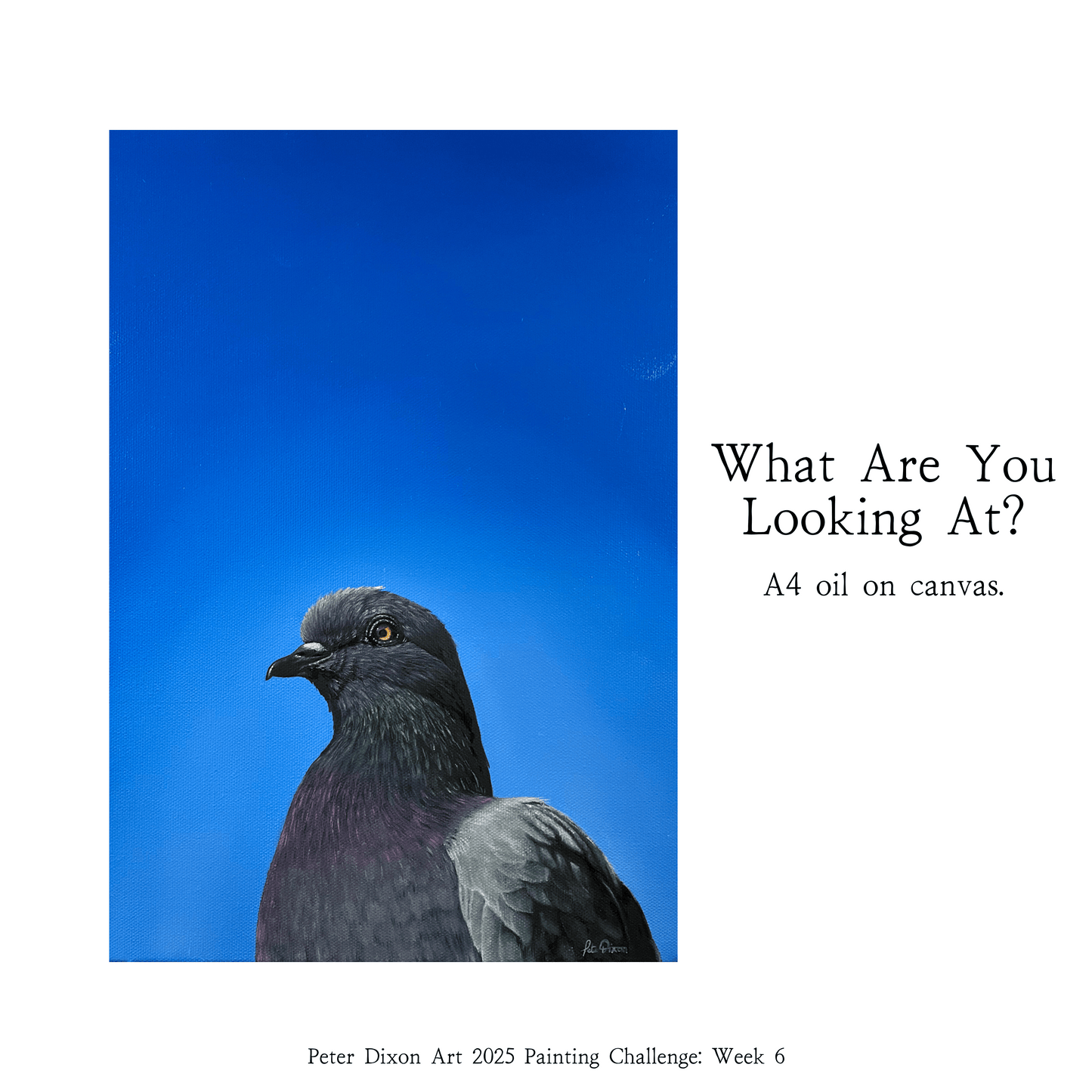 What are you looking at? - Limited Edition A4 Art Print