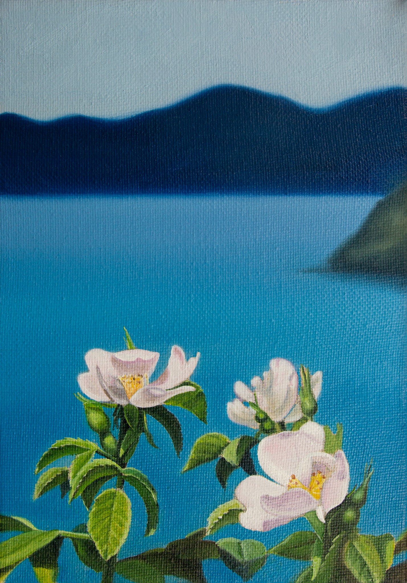 Cinque Terre Wild Roses - A5 Art Print