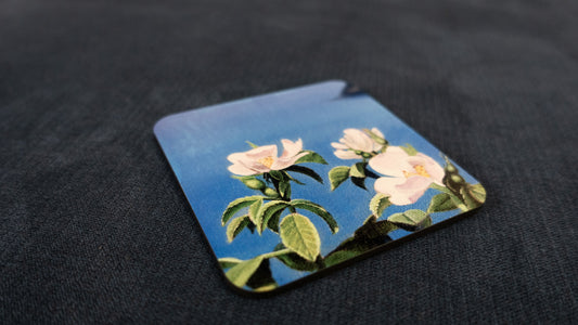 Artsy Coasters - Cinque Terre Wild Roses