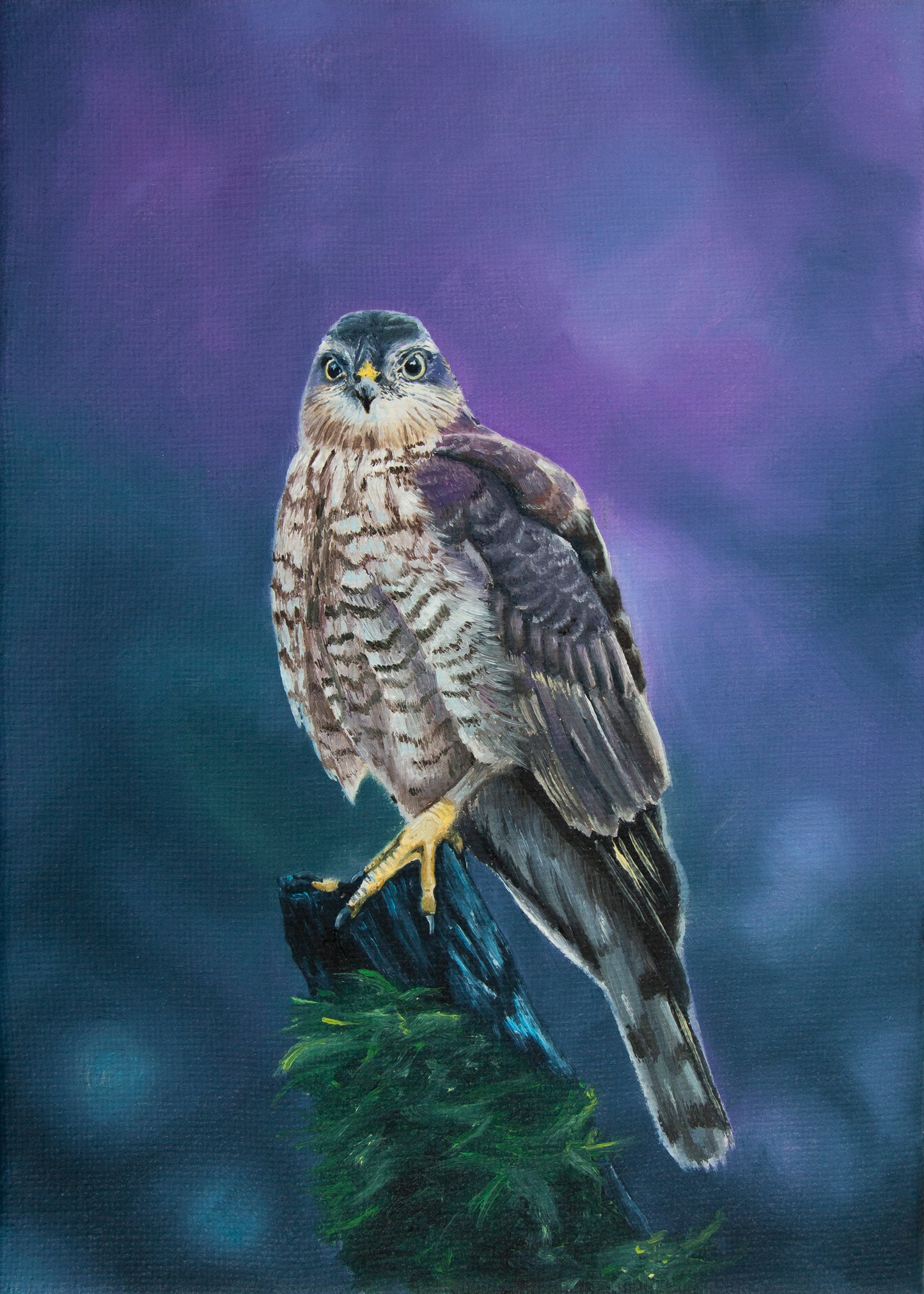 Sparrowhawk - A5 Art Print